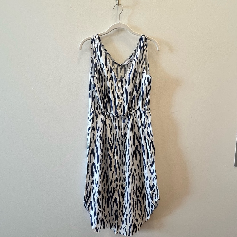 Blue and White Sleeveless Dress